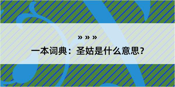 一本词典：圣姑是什么意思？