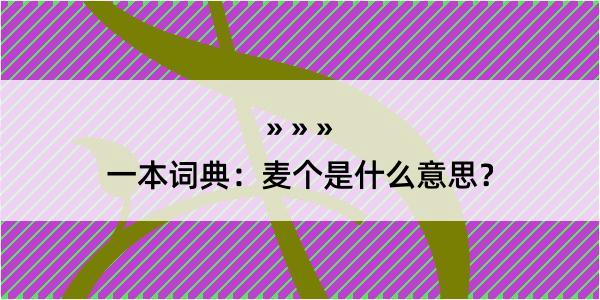 一本词典：麦个是什么意思？