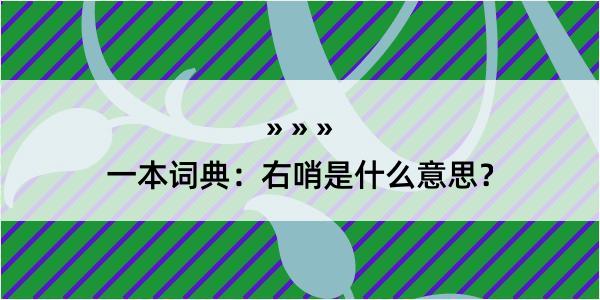 一本词典：右哨是什么意思？