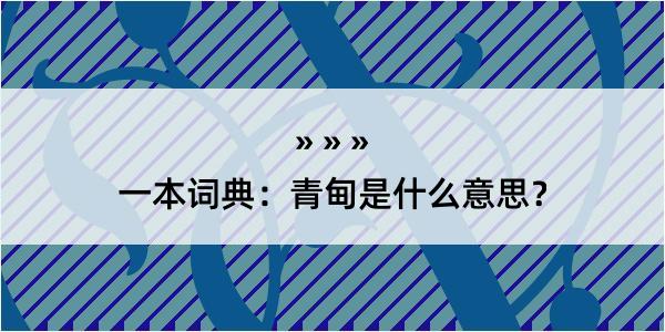 一本词典：青甸是什么意思？