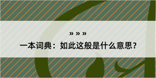 一本词典：如此这般是什么意思？