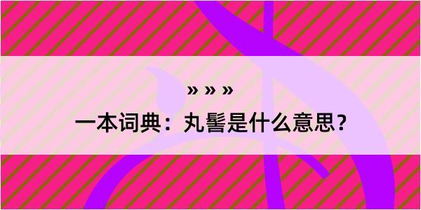 一本词典：丸髻是什么意思？