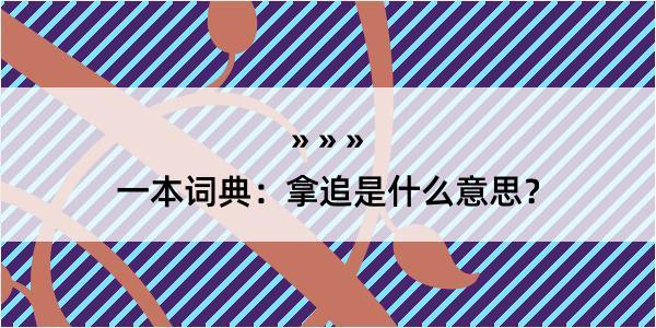 一本词典：拿追是什么意思？