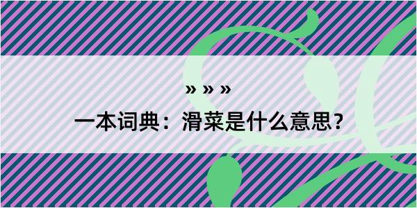 一本词典：滑菜是什么意思？