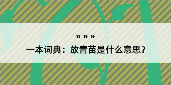 一本词典：放青苗是什么意思？