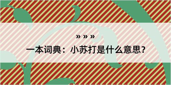 一本词典：小苏打是什么意思？