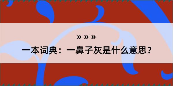 一本词典：一鼻子灰是什么意思？