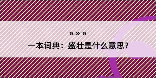 一本词典：盛壮是什么意思？