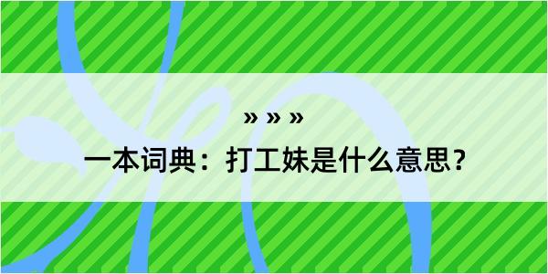 一本词典：打工妹是什么意思？