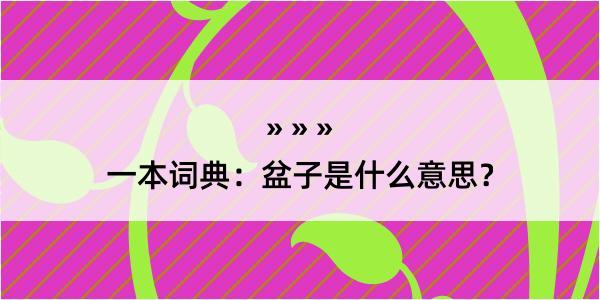 一本词典：盆子是什么意思？