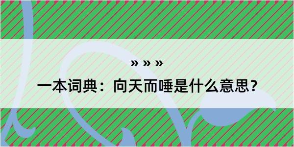 一本词典：向天而唾是什么意思？