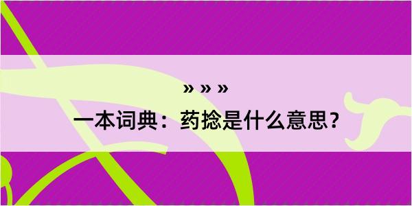 一本词典：药捻是什么意思？