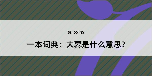 一本词典：大幕是什么意思？