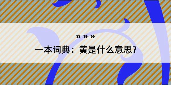 一本词典：黄是什么意思？