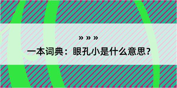 一本词典：眼孔小是什么意思？