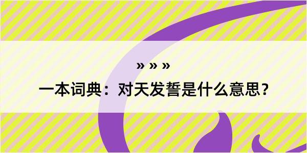 一本词典：对天发誓是什么意思？