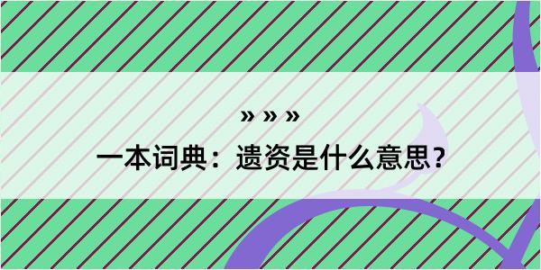 一本词典：遗资是什么意思？