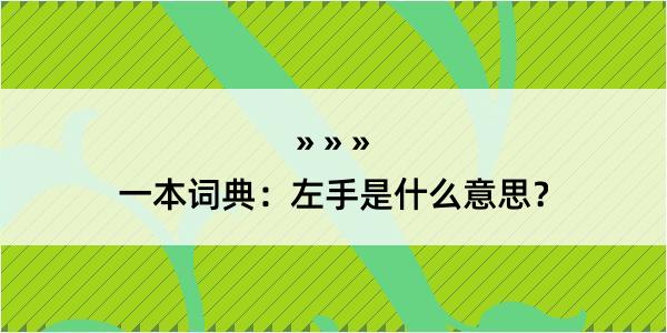 一本词典：左手是什么意思？