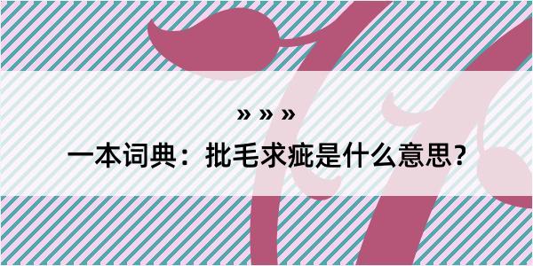 一本词典：批毛求疵是什么意思？