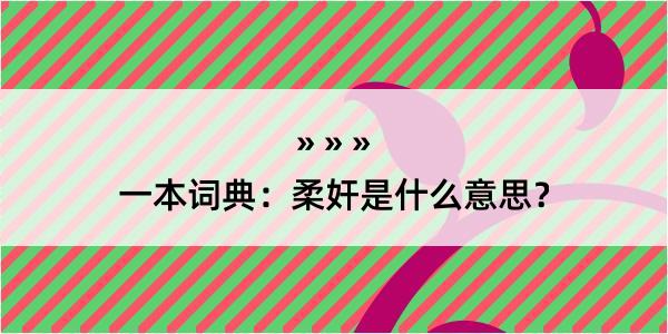 一本词典：柔奸是什么意思？