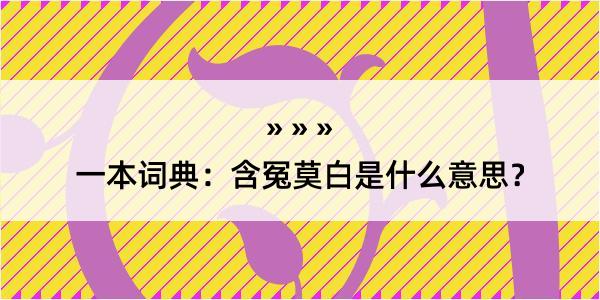 一本词典：含冤莫白是什么意思？