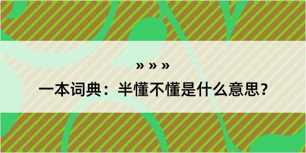 一本词典：半懂不懂是什么意思？