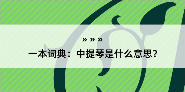 一本词典：中提琴是什么意思？