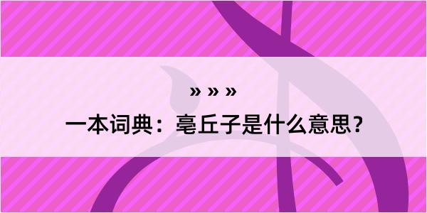 一本词典：亳丘子是什么意思？