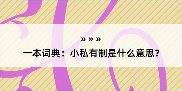 一本词典：小私有制是什么意思？