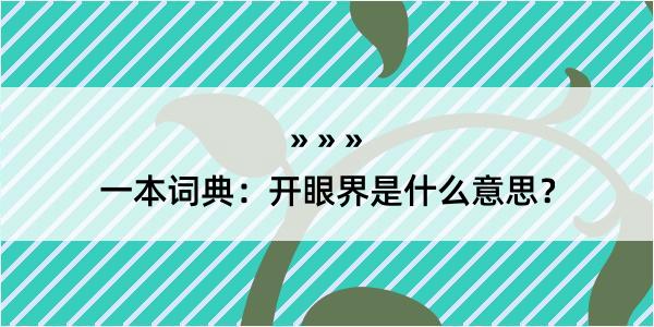 一本词典：开眼界是什么意思？