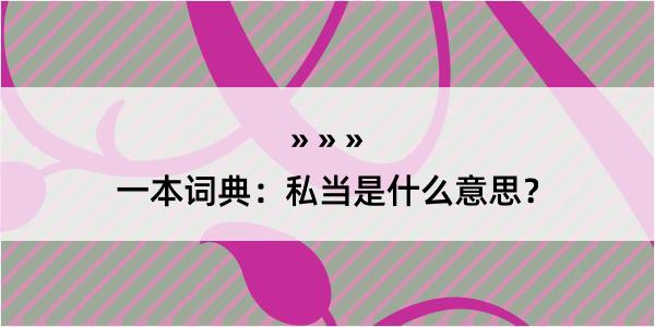 一本词典：私当是什么意思？