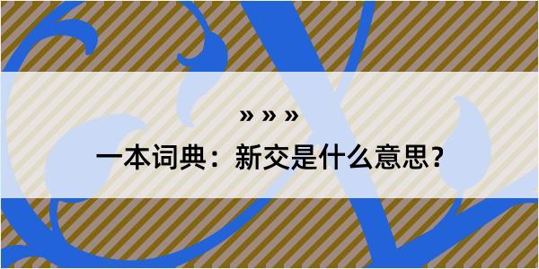 一本词典：新交是什么意思？