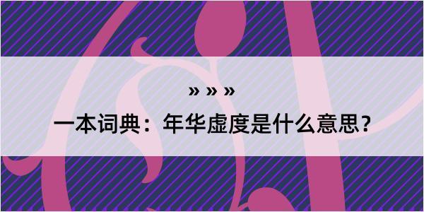 一本词典：年华虚度是什么意思？