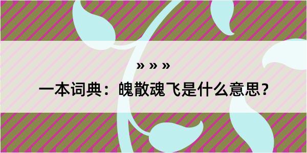 一本词典：魄散魂飞是什么意思？