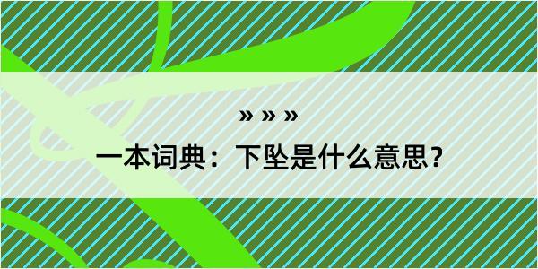 一本词典：下坠是什么意思？