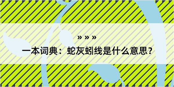 一本词典：蛇灰蚓线是什么意思？