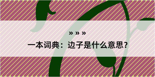 一本词典：边子是什么意思？