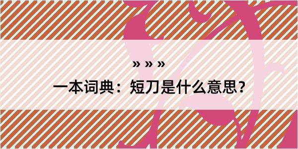 一本词典：短刀是什么意思？