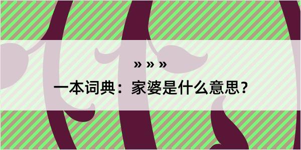 一本词典：家婆是什么意思？