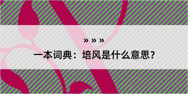 一本词典：培风是什么意思？