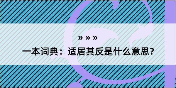 一本词典：适居其反是什么意思？