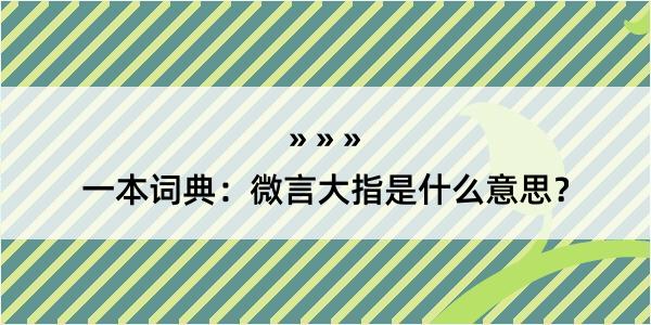 一本词典：微言大指是什么意思？