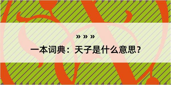 一本词典：天子是什么意思？