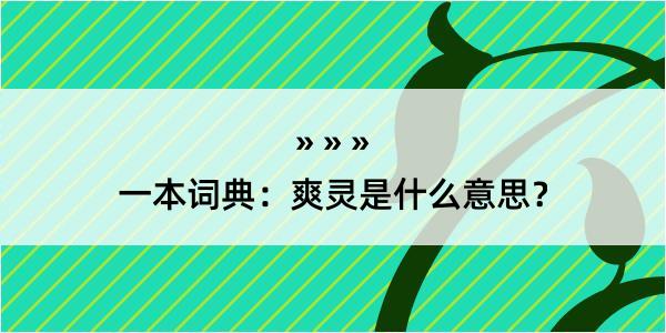 一本词典：爽灵是什么意思？