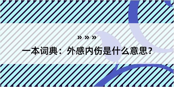 一本词典：外感内伤是什么意思？