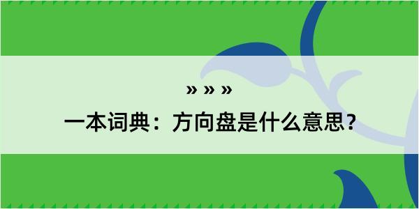 一本词典：方向盘是什么意思？