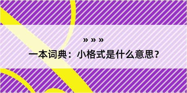 一本词典：小格式是什么意思？