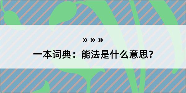 一本词典：能法是什么意思？