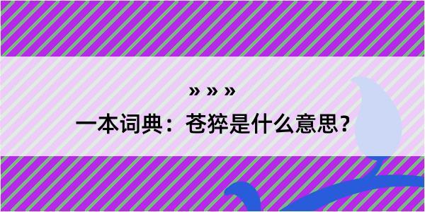 一本词典：苍猝是什么意思？