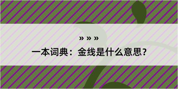 一本词典：金线是什么意思？